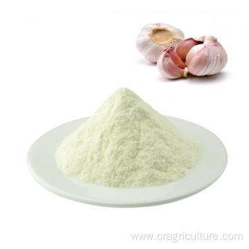 Top Quality Garlic Dry Powder Vegetables